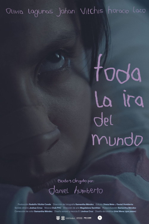 Постер «Toda la ira del mundo»