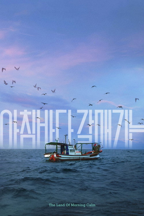 Постер «아침바다 갈매기는»