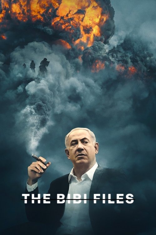 Постер «The Bibi Files»