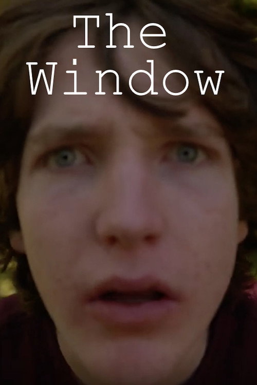 Постер «The Window»
