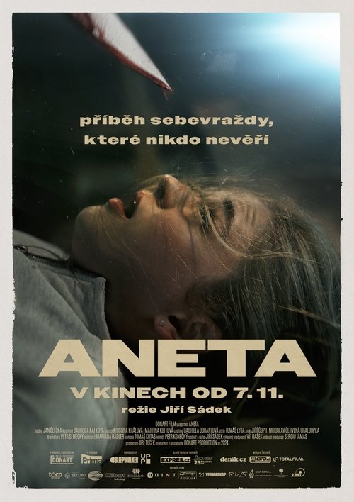 Постер «Aneta»