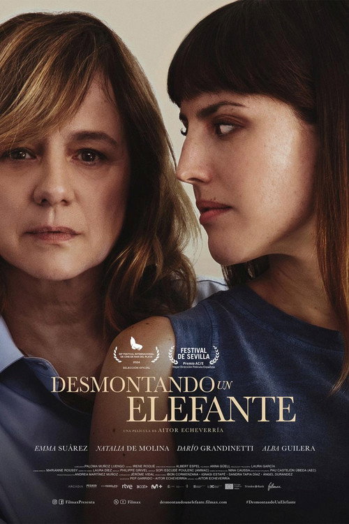 Постер «Desmontando un elefante»