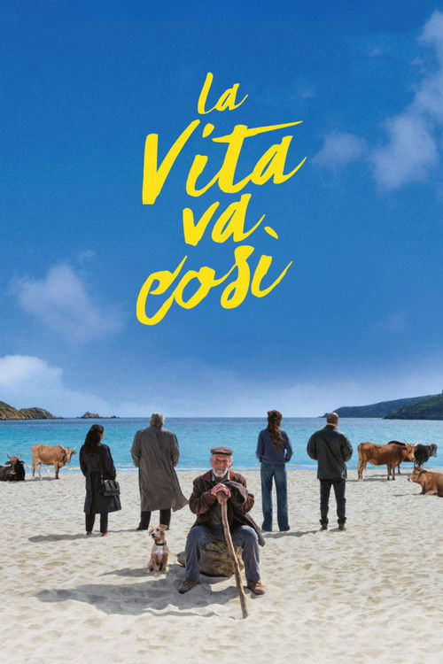 Постер «La vita va così»