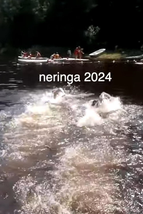 Постер «our last year at sleepaway camp»