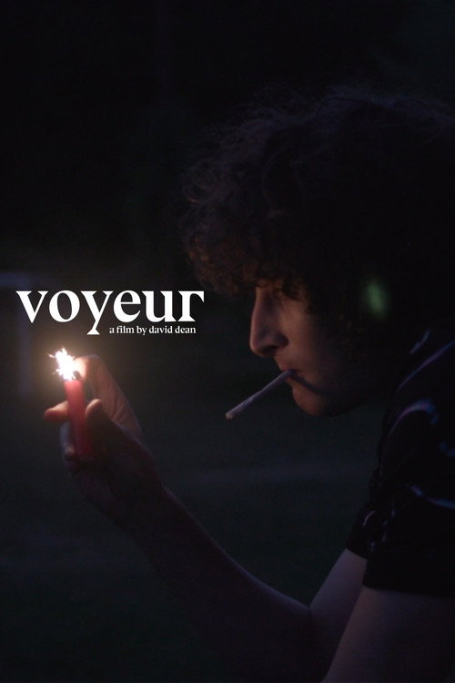 Постер «Voyeur»