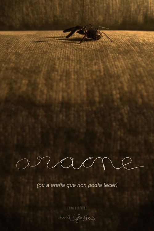 Постер «Aracne (ou a araña que non podía tecer)»