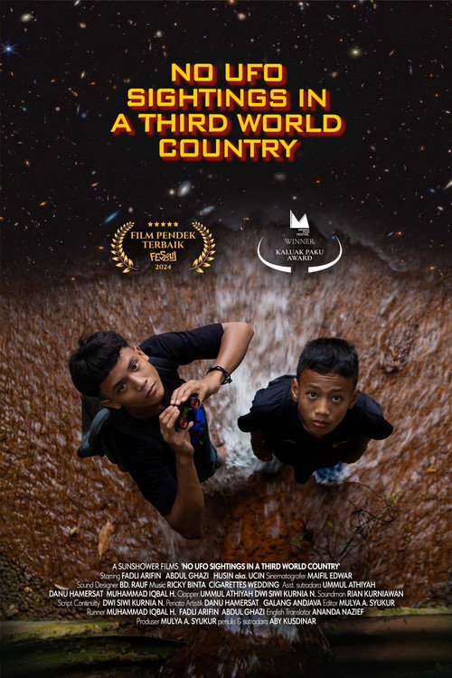 Постер «No UFO Sightings in a Third World Country»