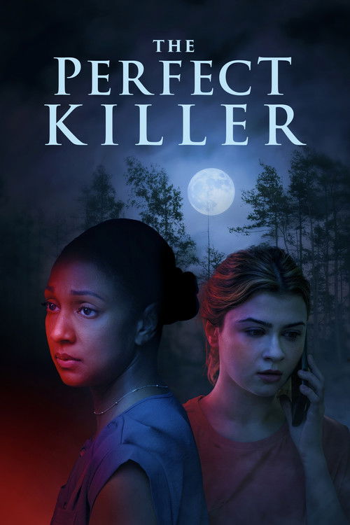 Постер «The Perfect Killer»