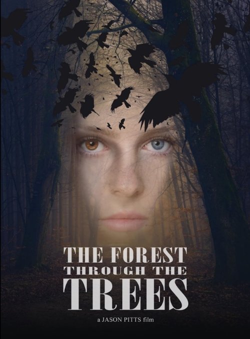 Постер «The Forest Through the Trees»