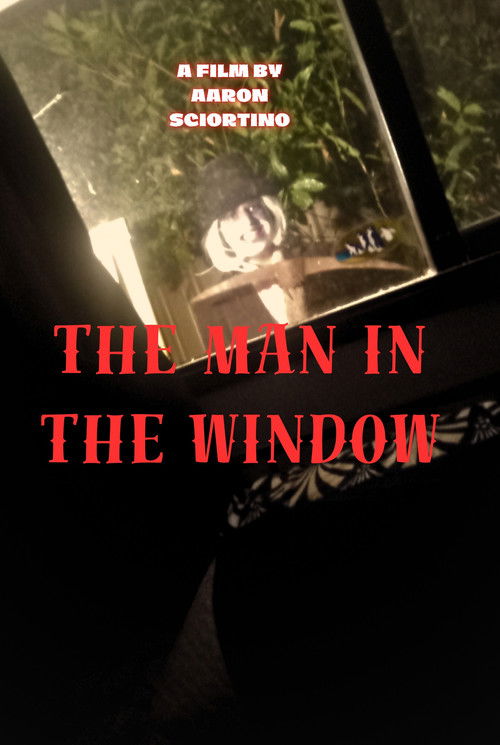 Постер «The man in the window»