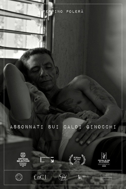 Постер «Assonnati sui caldi ginocchi»