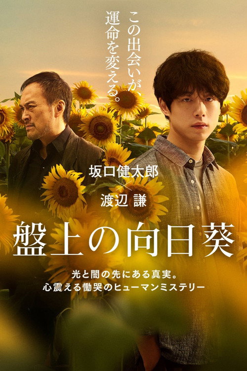 Постер «盤上の向日葵»