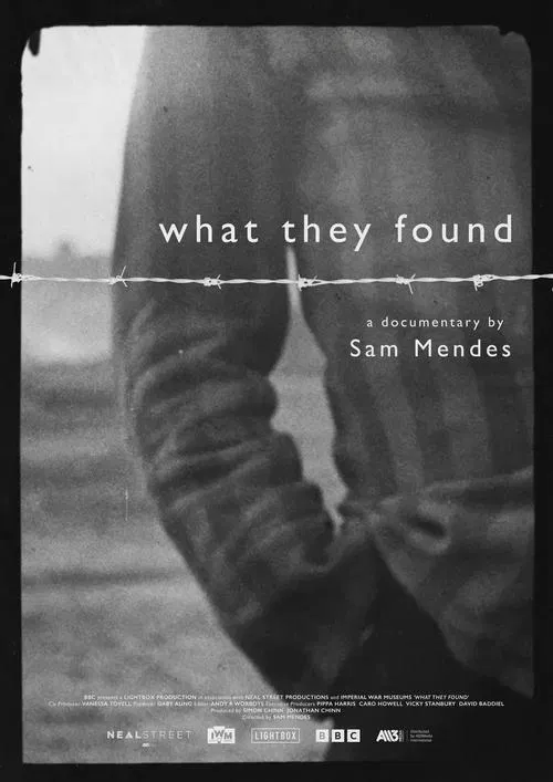 Постер «What They Found»
