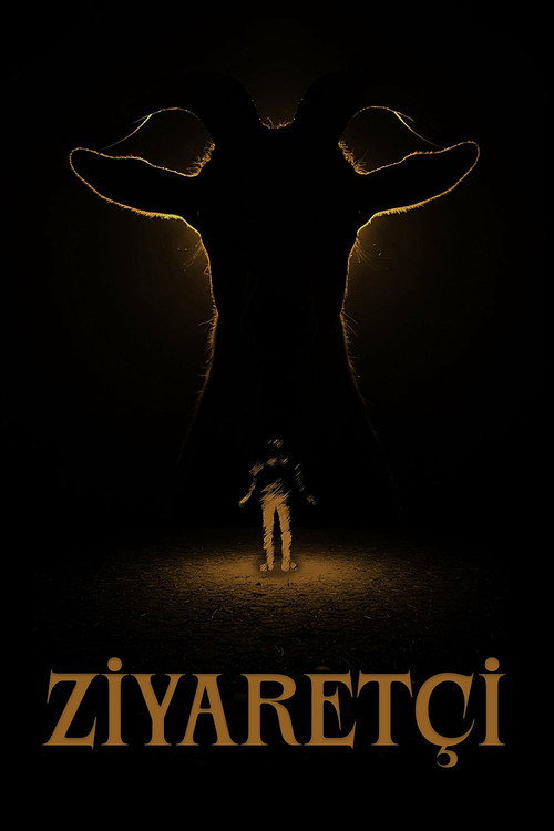 Постер «Ziyaretçi»