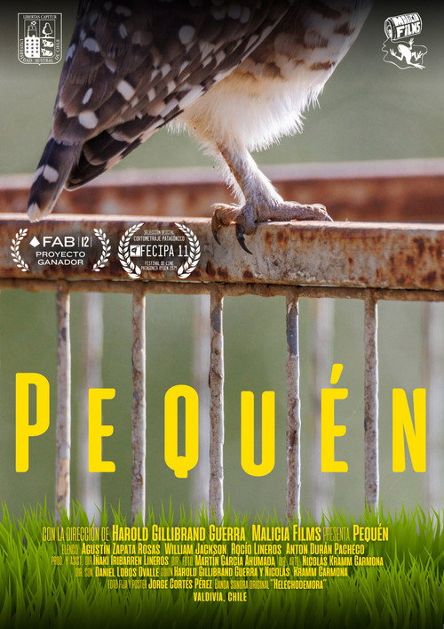 Постер «Pequén»