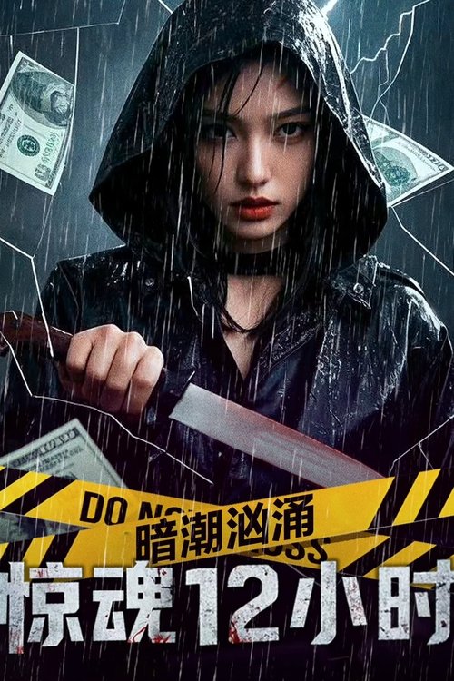 Постер «暗潮汹涌之惊魂12小时»