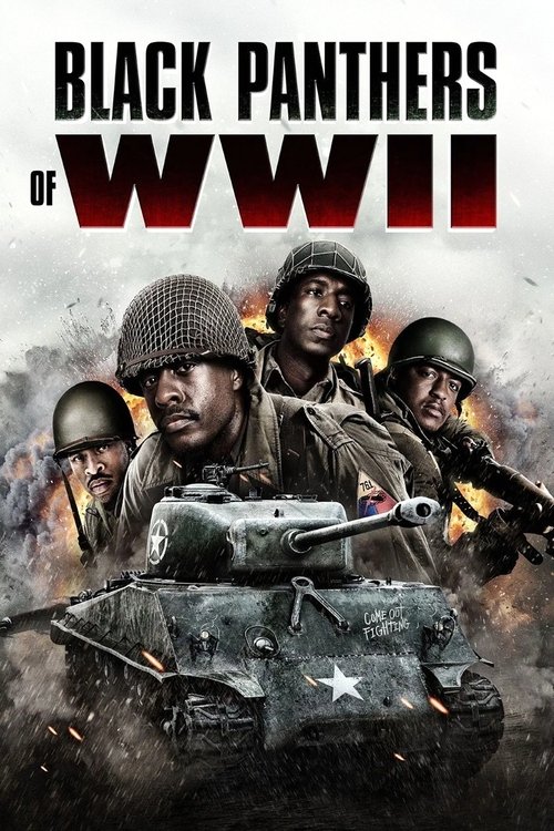 Постер «Black Panthers of WWII»
