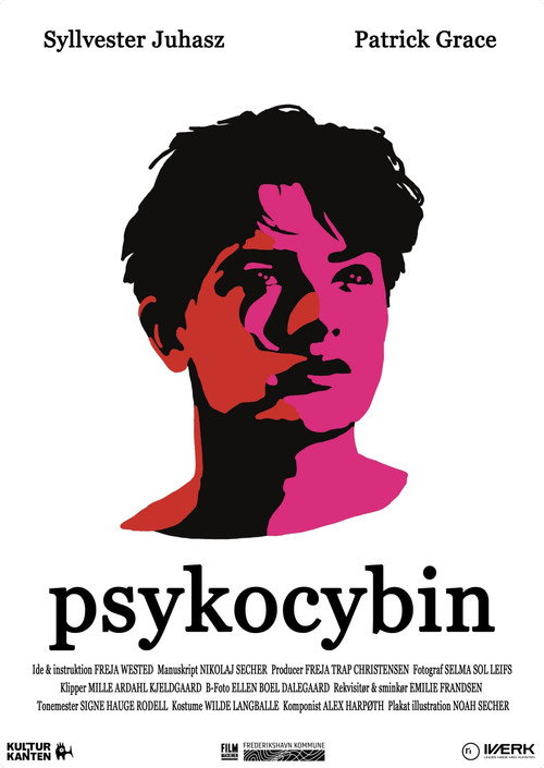 Постер «Psykocybin»