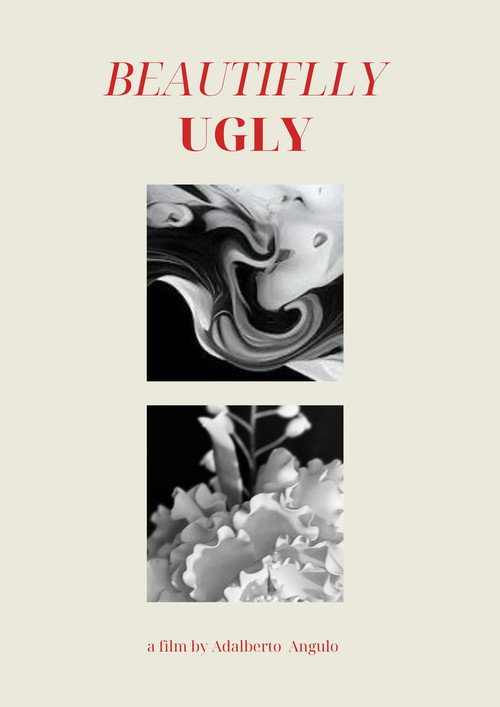 Постер «Beautifully Ugly»