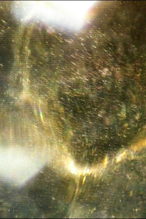 Постер «The Dithering Veil»