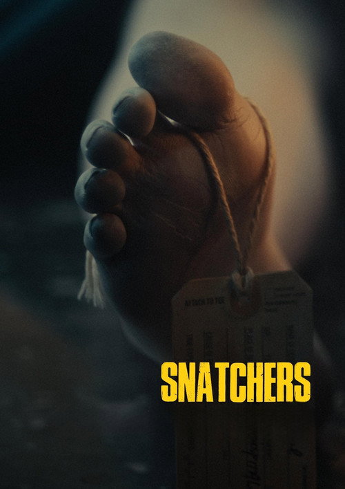 Постер «Snatchers»