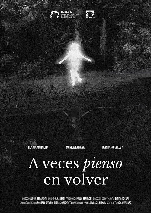 Постер «A veces pienso en volver»
