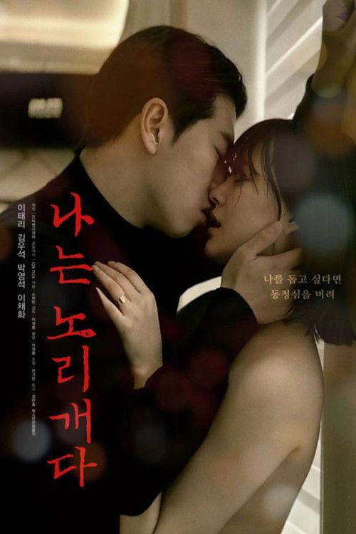 Постер «나는 노리개다»