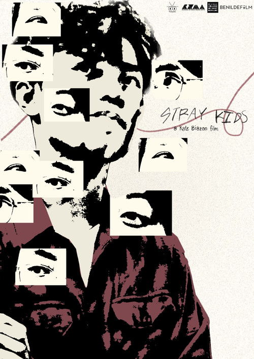 Постер «Stray Kids»