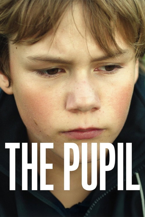 Постер «De pupil»