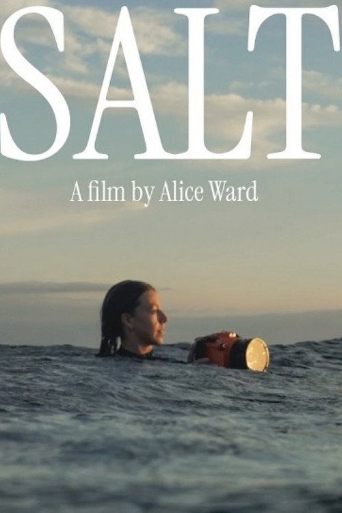Постер «SALT»
