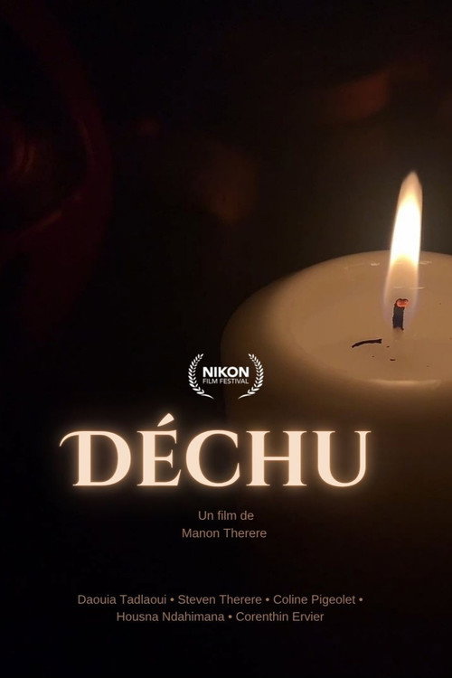 Постер «Déchu»