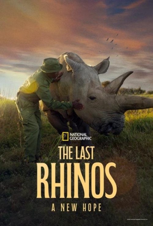 Постер «The Last Rhinos: A New Hope»