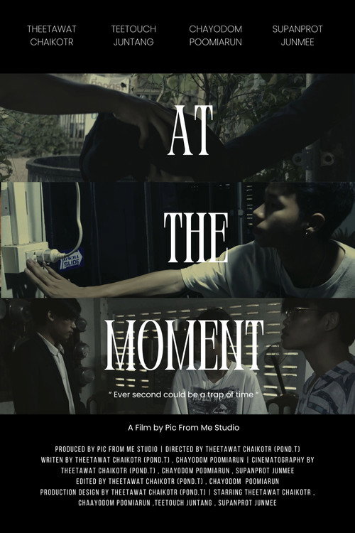 Постер «At the moment»