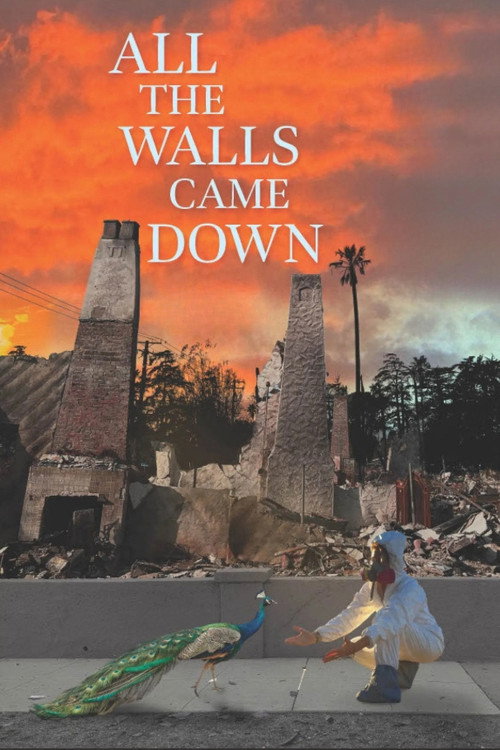 Постер «All the Walls Came Down»