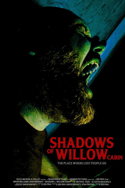 Постер «Shadows of Willow Cabin»