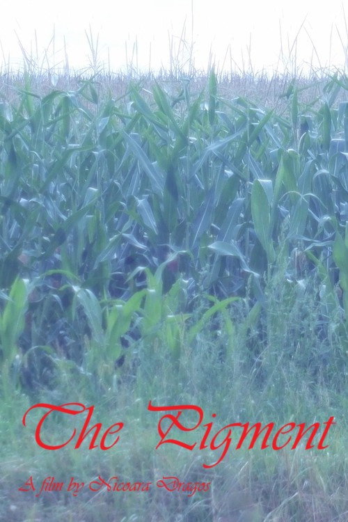 Постер «The Pigment»