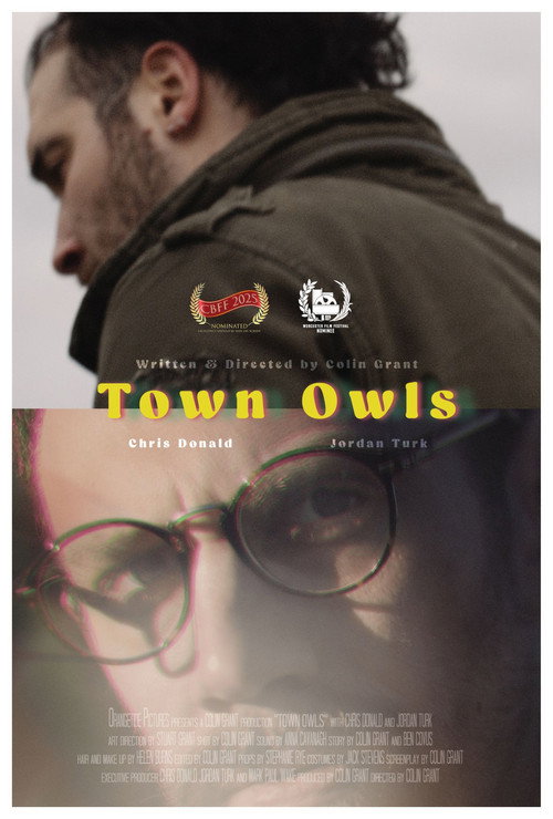 Постер «Town Owls»