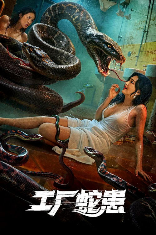 Постер «工厂蛇患»