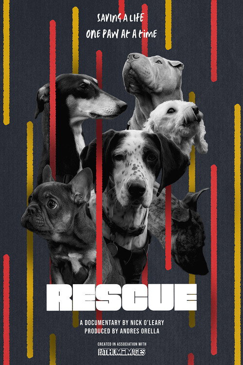Постер «RESCUE»
