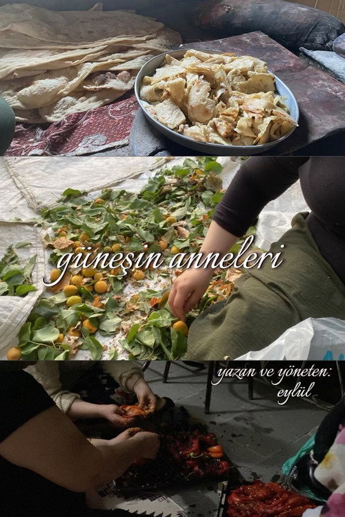 Постер «Güneşin Anneleri»