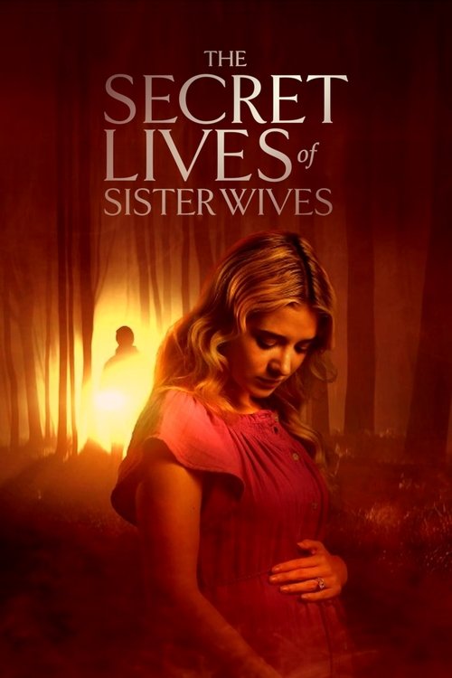 Постер «The Secret Lives of Sister Wives»
