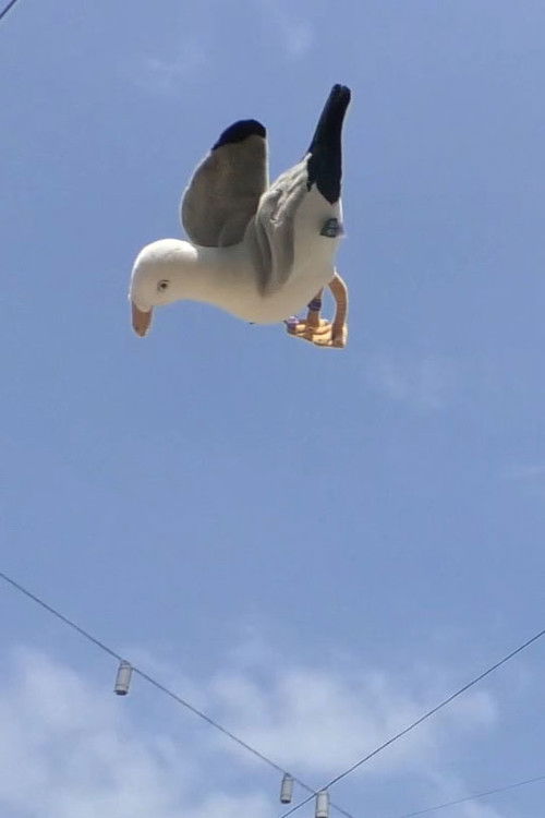 Постер «Double Jump»