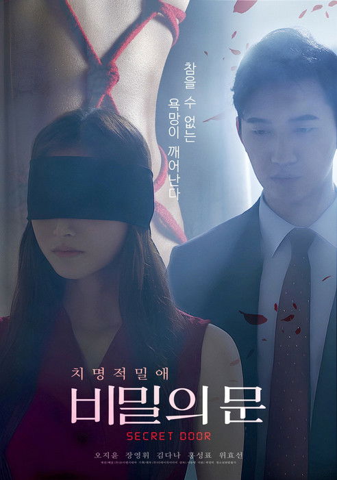 Постер «비밀의 문»