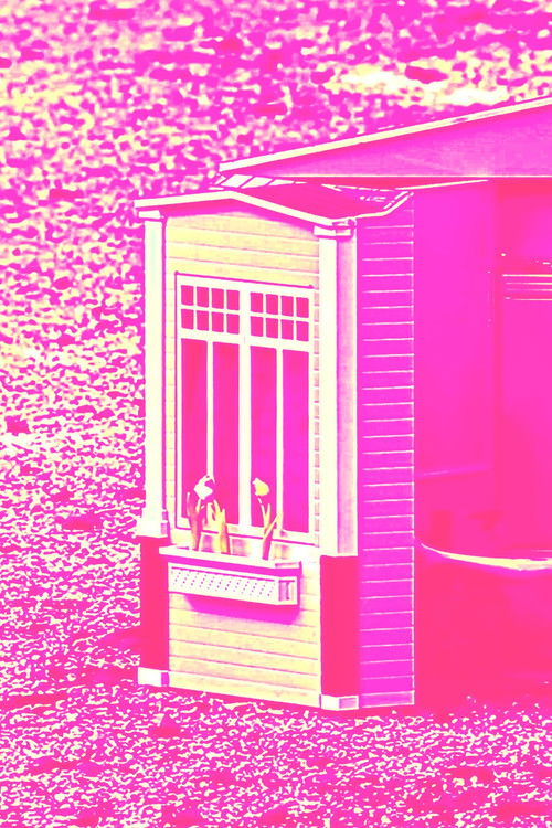 Постер: CARNE-FICCIÓN