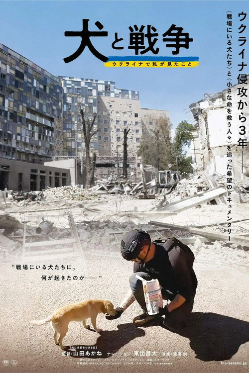 Постер «犬と戦争: ウクライナで私が見たこと»