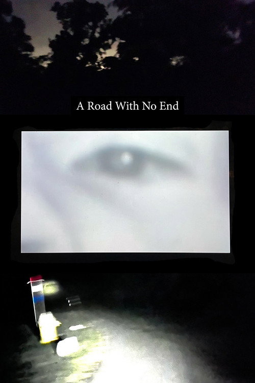 Постер «A Road With No End»
