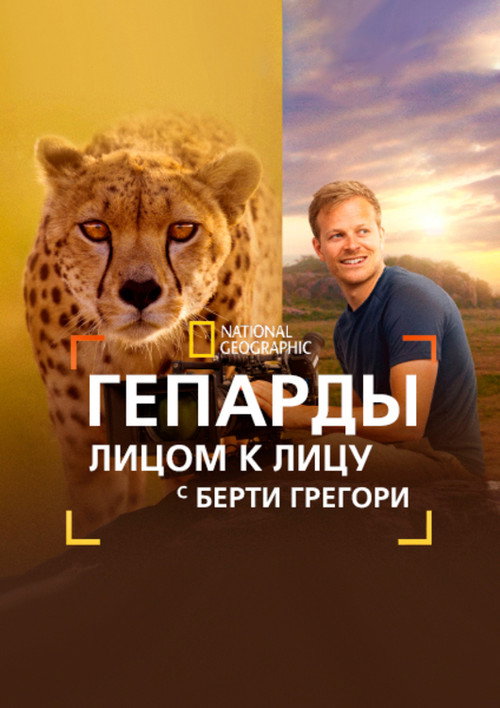Постер «Гепарды: лицом к лицу с Берти Грегори»