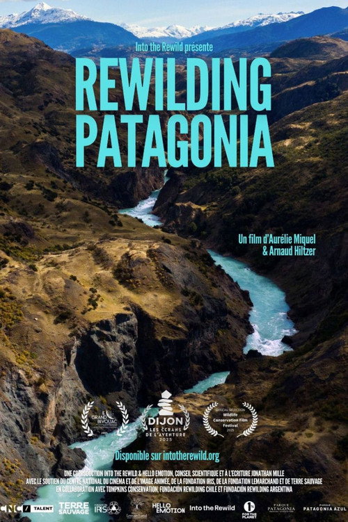 Постер «Rewilding Patagonia»