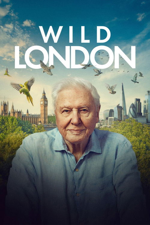 Постер «Wild London»