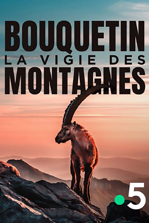 Постер «Bouquetin, la vigie des montagnes»
